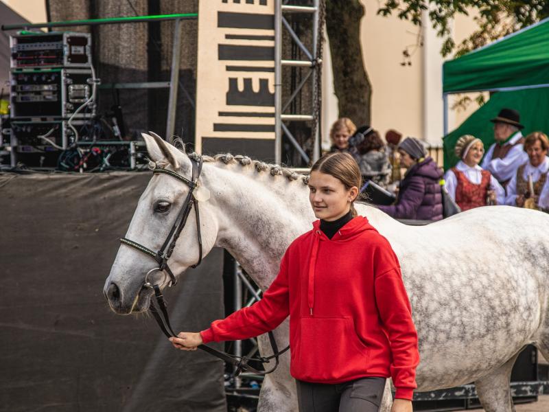 Rudens šventė „SENAME JONŲ DVARE"