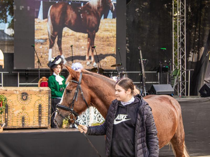 Rudens šventė „SENAME JONŲ DVARE"