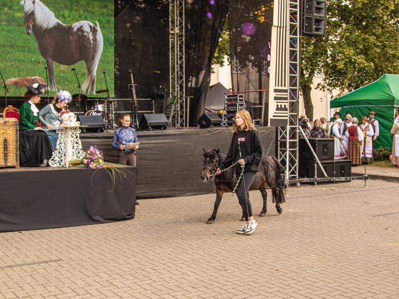 Rudens šventė „SENAME JONŲ DVARE"