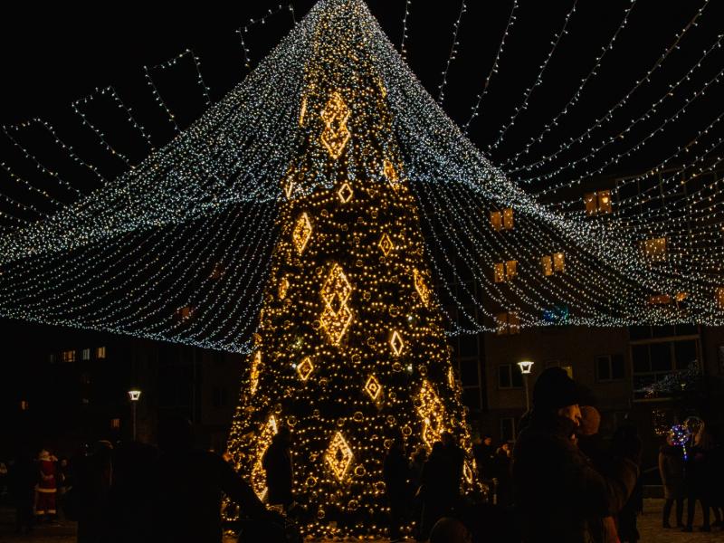 JONAVA ĮŽIEBĖ PAGRINDINĘ MIESTO EGLĘ