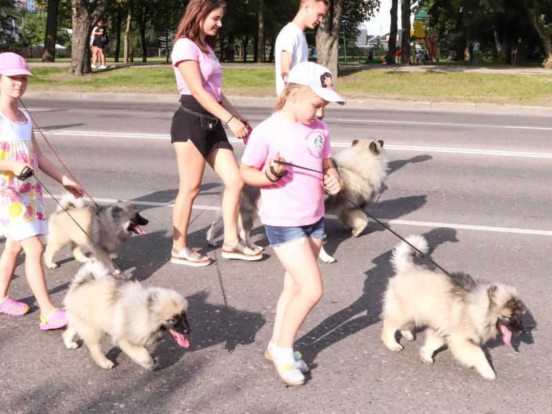 Miesto šventė „Mes mylim Jonavą"