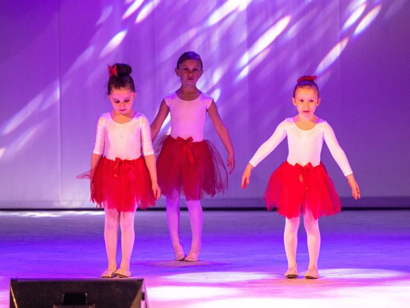 Mamos dienos koncertas „Svajonės, pražydusios stebuklais“