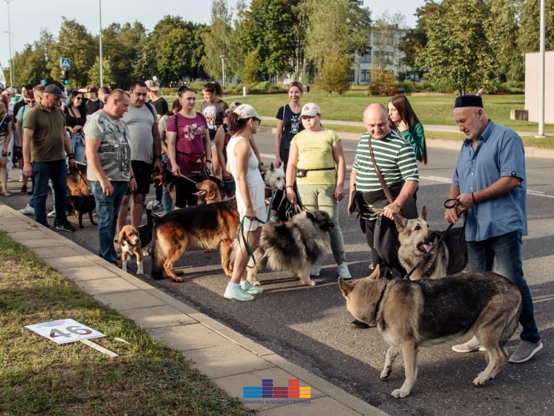 Miesto šventės eitynės