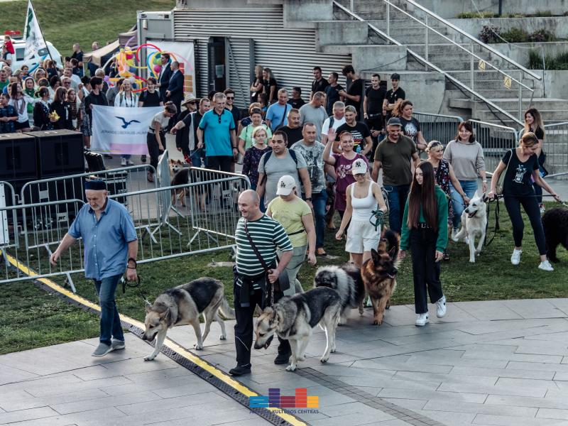 Miesto šventės eitynės