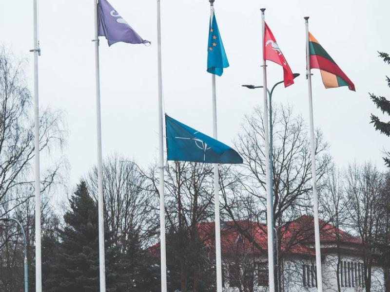  NATO diena