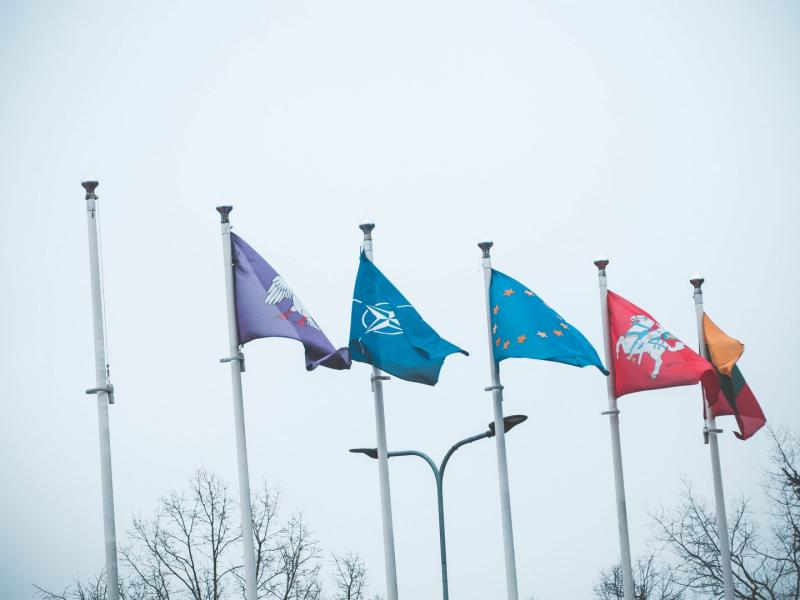  NATO diena
