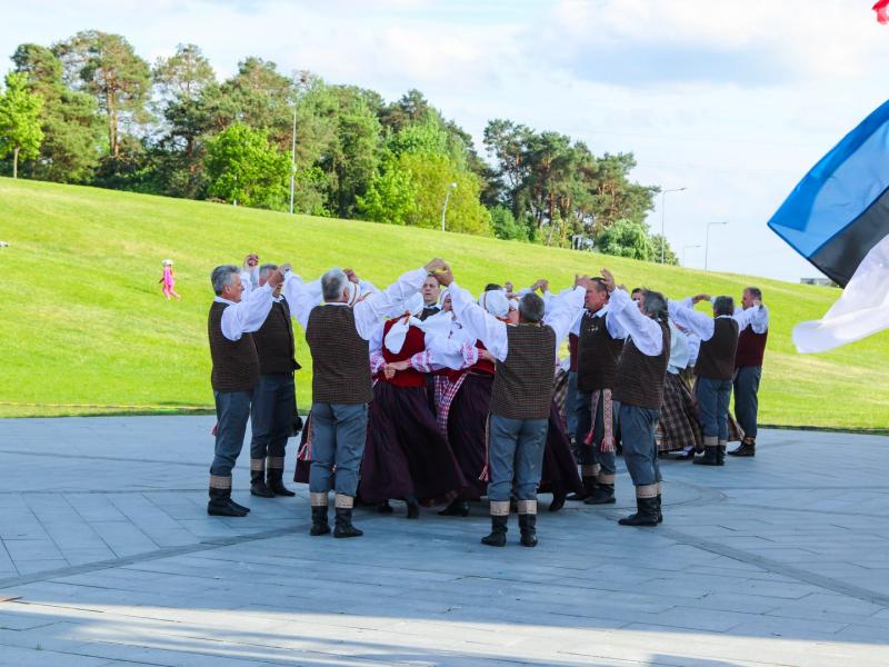 Chorinės muzikos ir šokių festivalis „Šviesa amžinoji dainos"