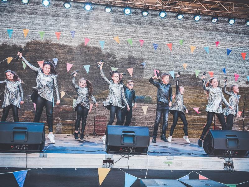 Vaikų POP Muzikos ir dailės festivalis-konkursas „Spalvų gama"