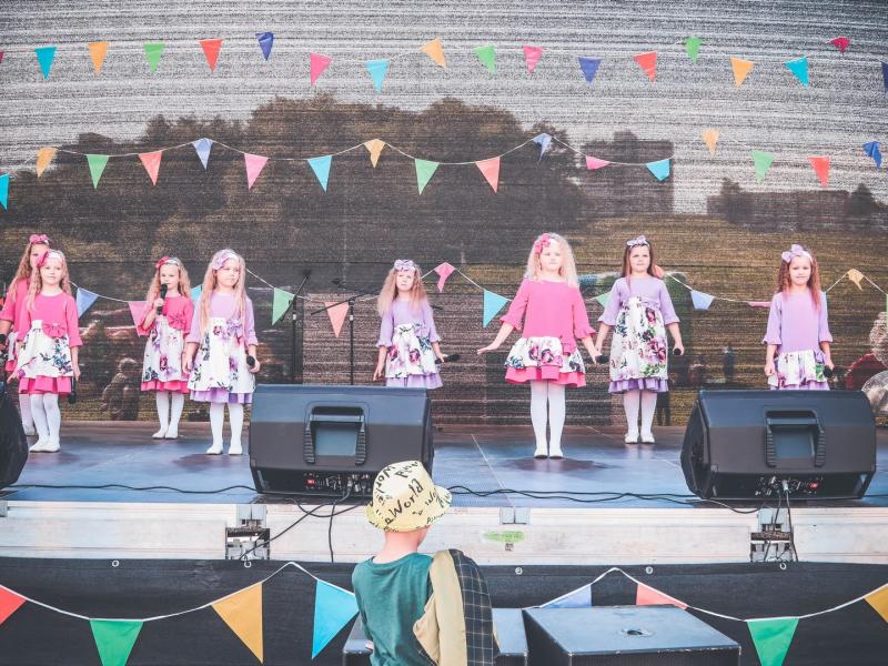 Vaikų POP Muzikos ir dailės festivalis-konkursas „Spalvų gama"