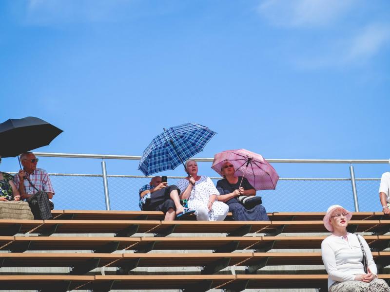 Armonikierių šventė