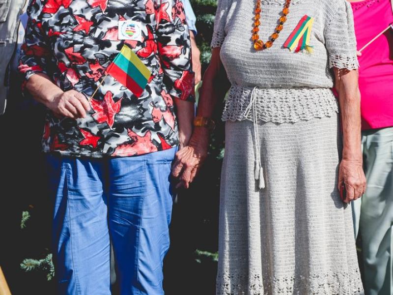 Baltijos kelio minėjimas