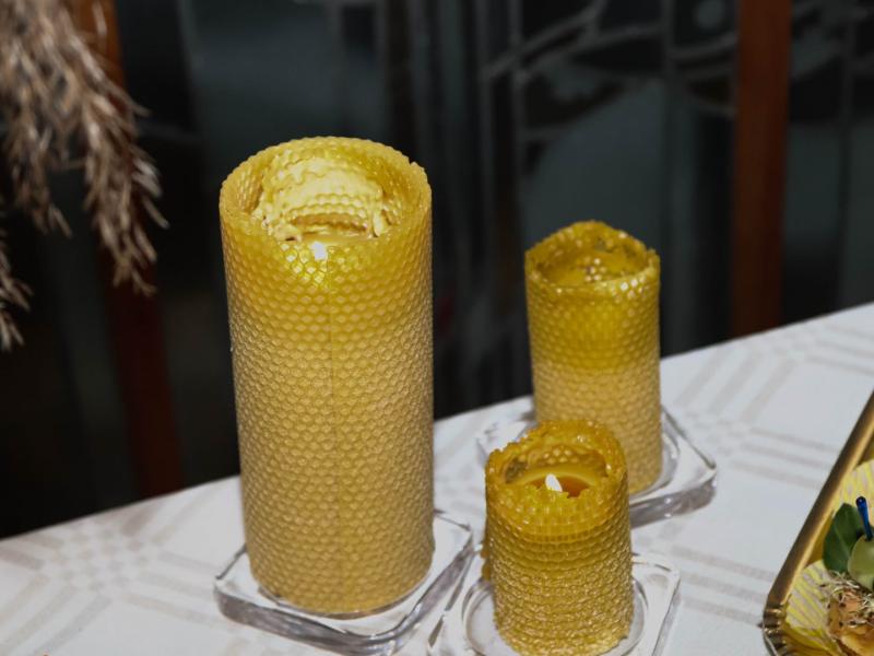 Kroatijos paroda