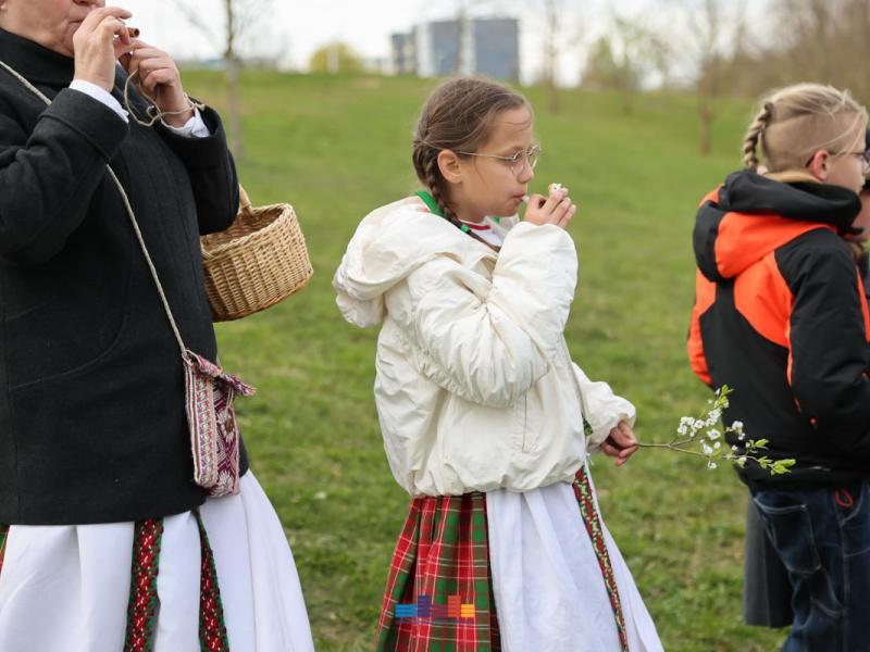 Jorės šventė