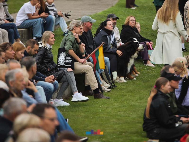 Mindaugo karūnavimo diena