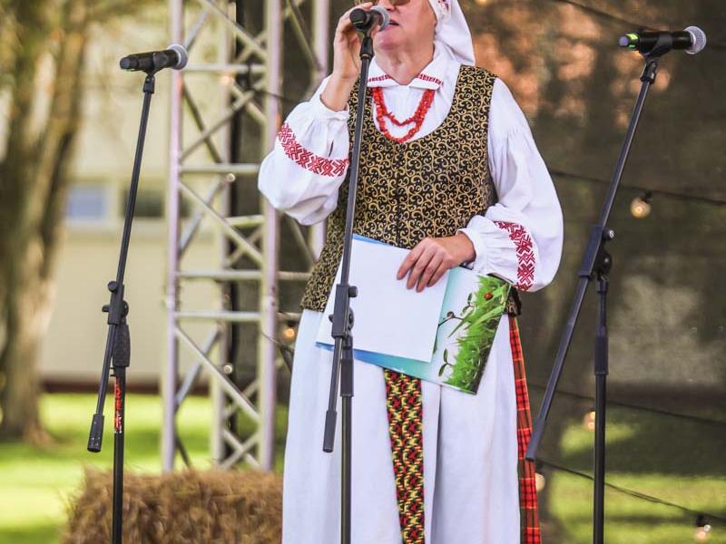 Tradicinis rudens kermošius Jonavoje