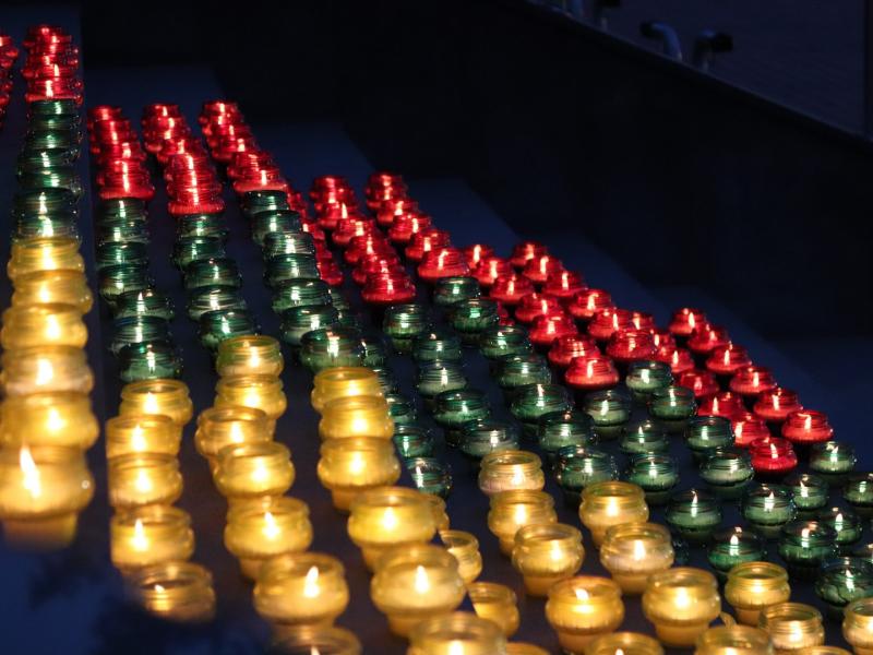 Iškilmingas Sausio 13-osios minėjimas