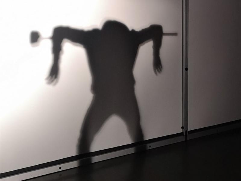Teatro edukacinis projektas „Lygybės medis“