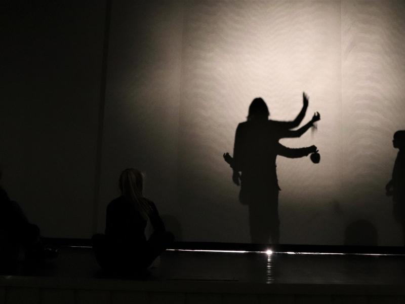 Teatro edukacinis projektas „Lygybės medis“