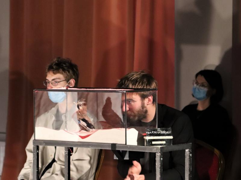 Teatro festivalis DEK