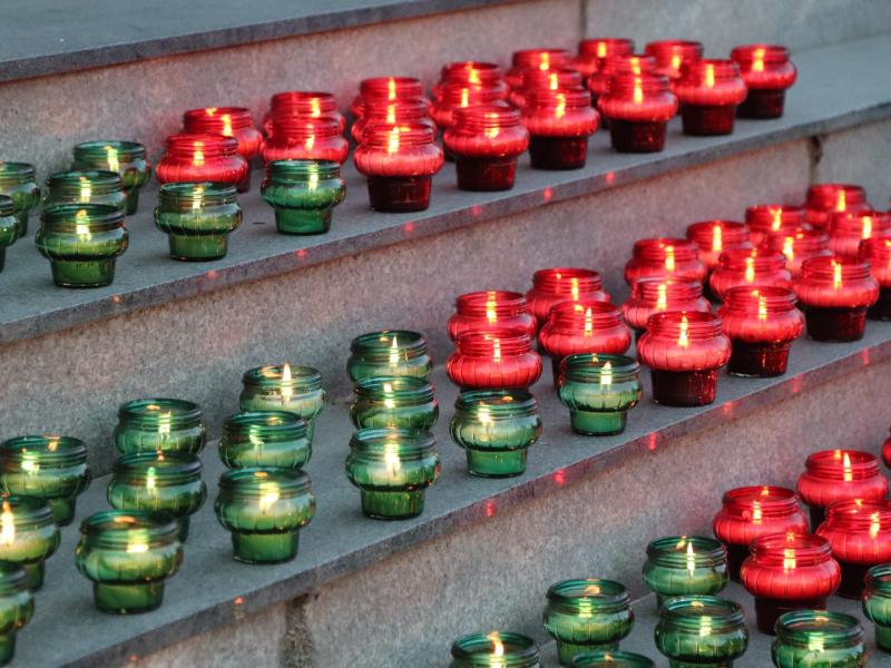 Iškilmingas Sausio 13-osios minėjimas