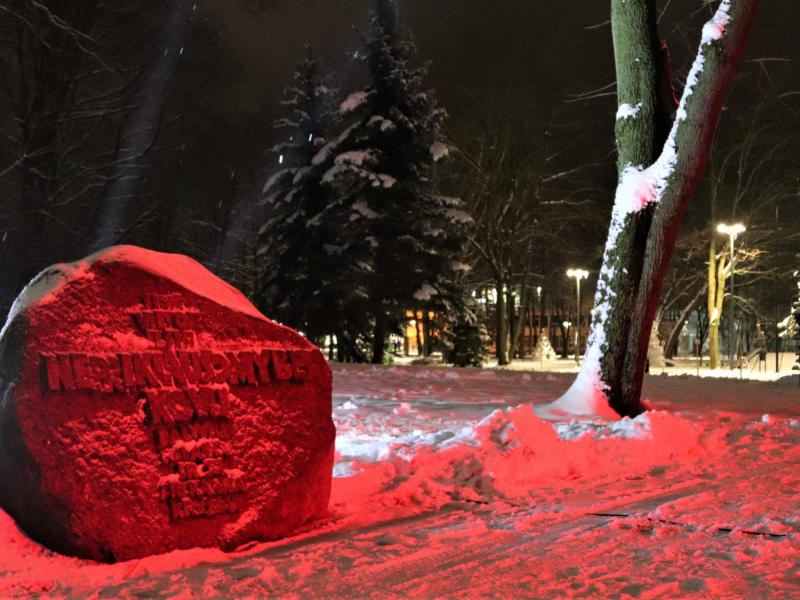 LAISVĖS GYNĖJŲ DIENA – 30 APGINTOS LAISVĖS METŲ!