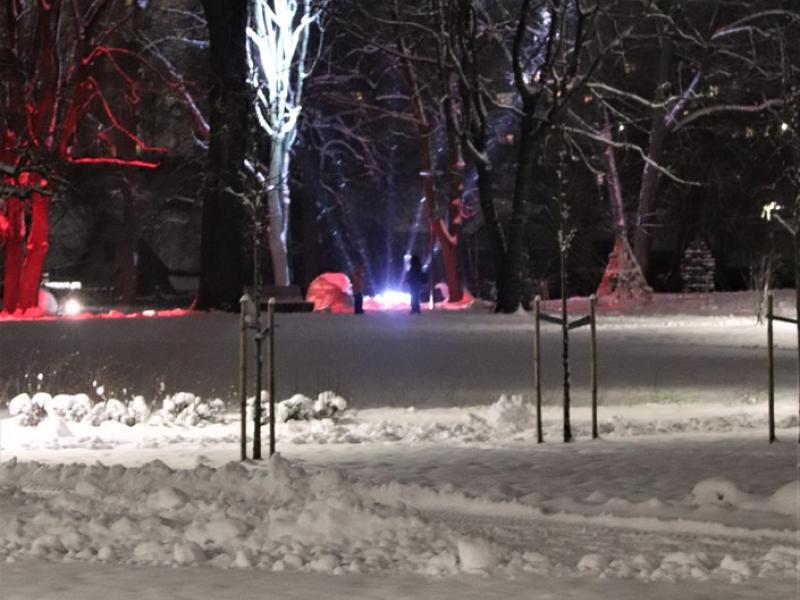 LAISVĖS GYNĖJŲ DIENA – 30 APGINTOS LAISVĖS METŲ!