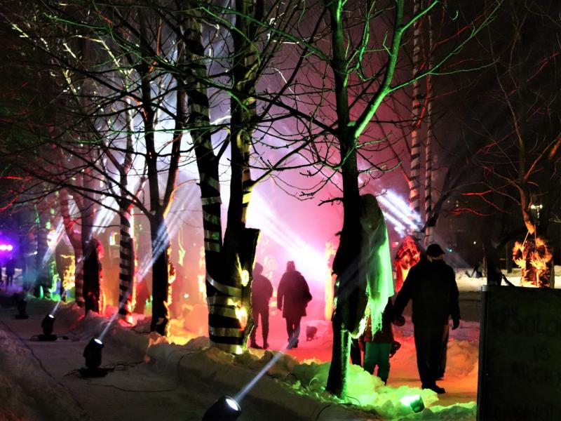 UŽGAVĖNĖS. BAUBOKŲ BULVARAS