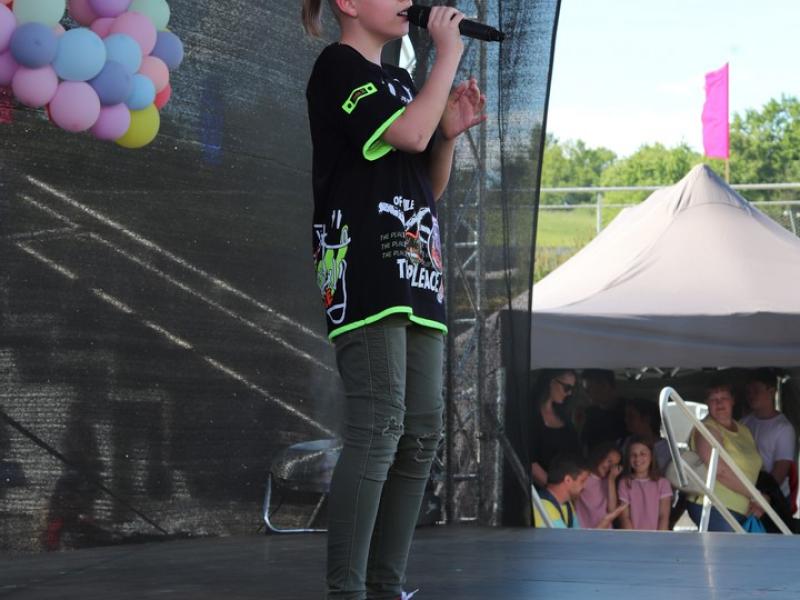 FESTIVALIS-KONKURSAS „SPALVŲ GAMA“