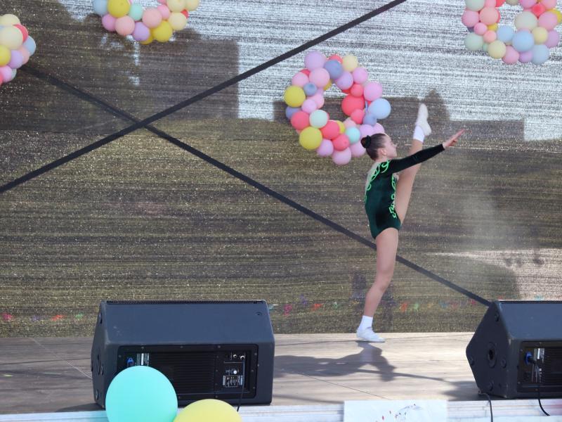 FESTIVALIS-KONKURSAS „SPALVŲ GAMA“