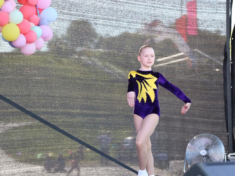 FESTIVALIS-KONKURSAS „SPALVŲ GAMA“