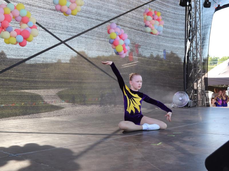 FESTIVALIS-KONKURSAS „SPALVŲ GAMA“