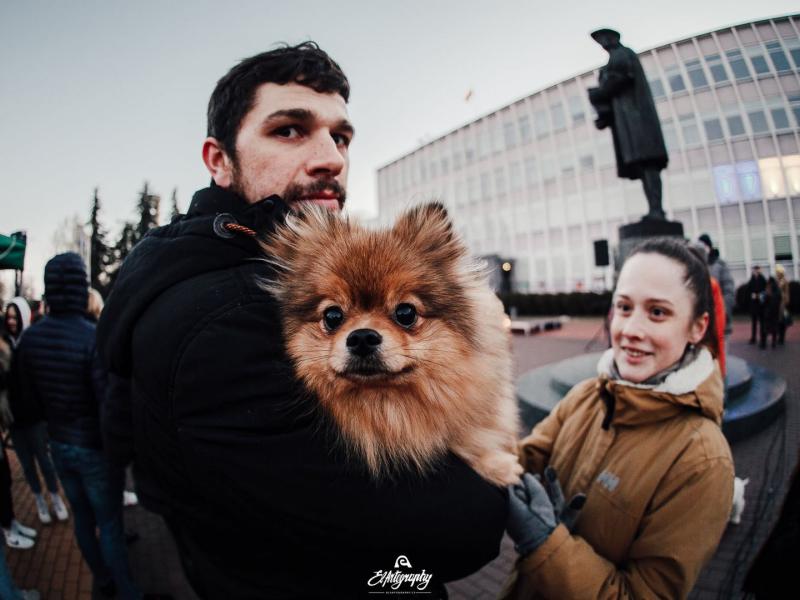 Ukrainos palaikymo akcija „Laisvė šviečia“ 2022