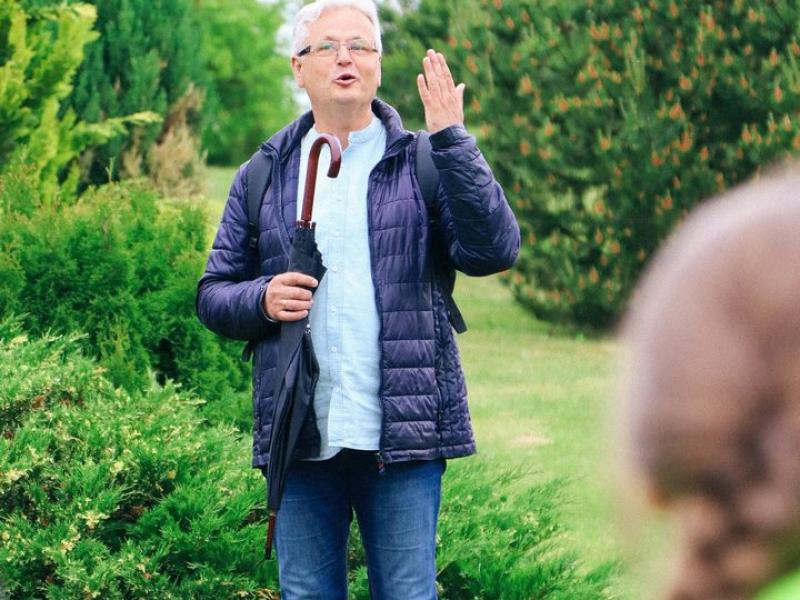 Lygybės medis 