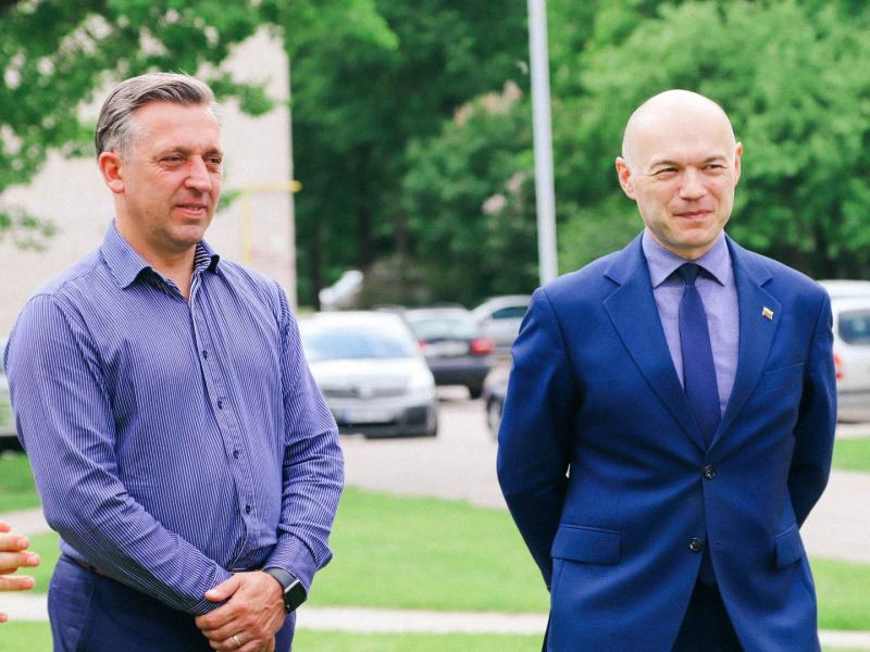 Lygybės medis 