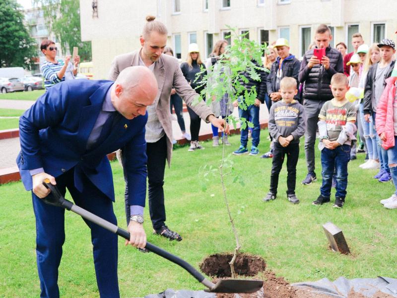 Lygybės medis 