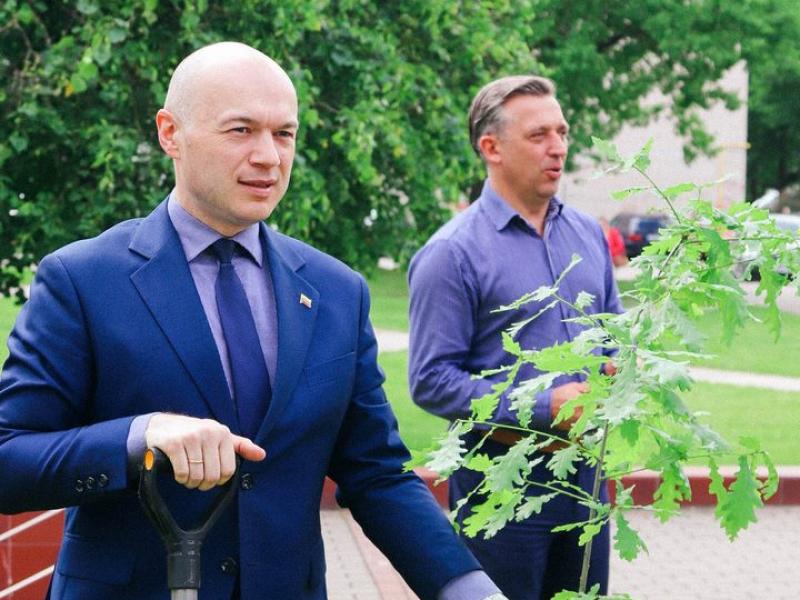 Lygybės medis 