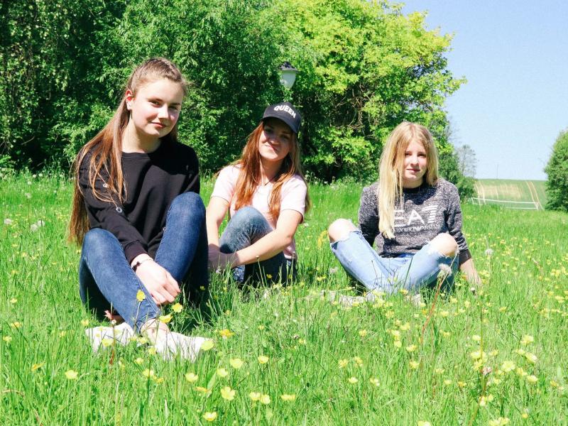 Lygybės medis 
