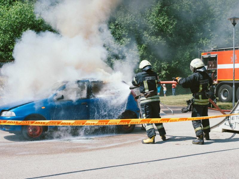 Svajonių vasara prasideda