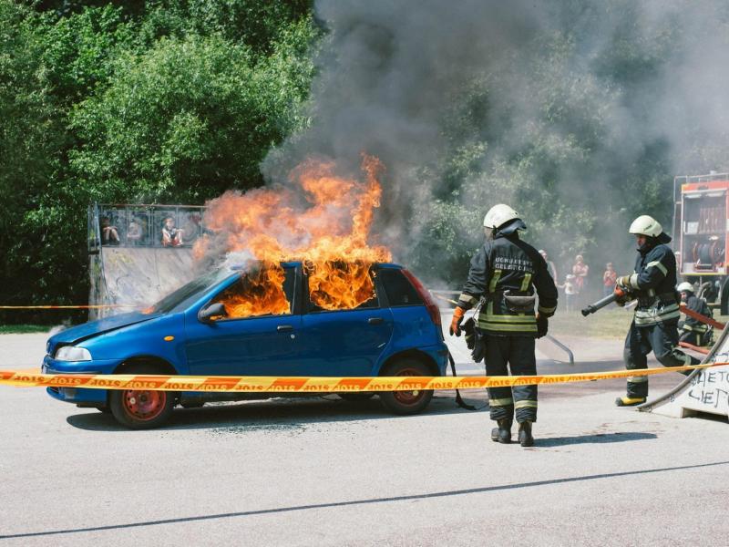 Svajonių vasara prasideda