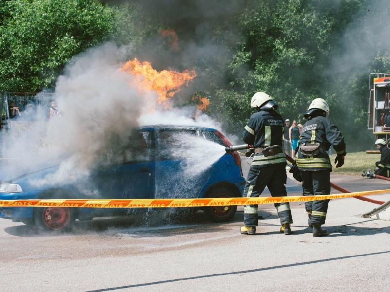 Svajonių vasara prasideda