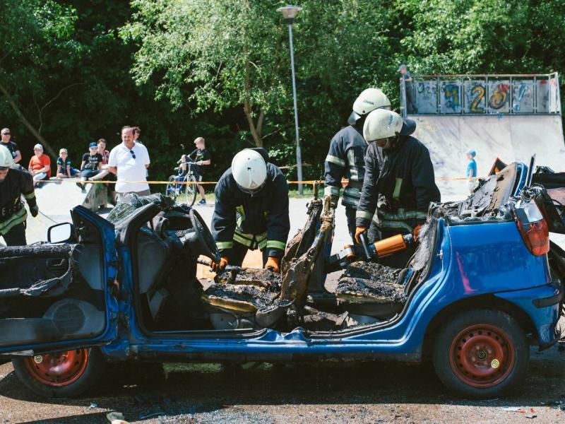 Svajonių vasara prasideda