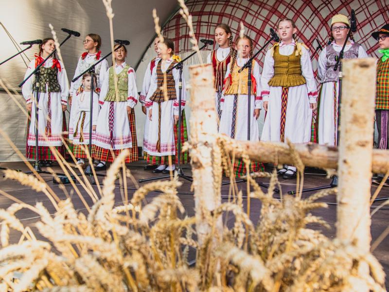 Liaudiškos muzikos vakaras „Gimtas krašte nuostabus esi“